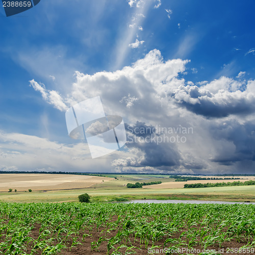 Image of cloudy sky and green field