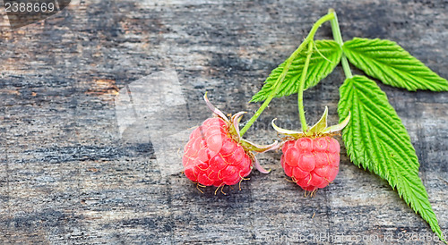 Image of two fresh raspberries