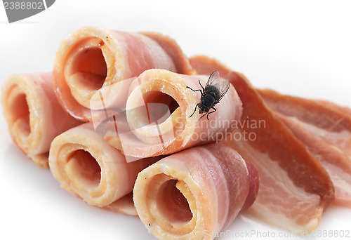 Image of macro shot of fly on meat