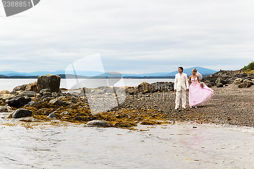 Image of The groom and the bride on nature