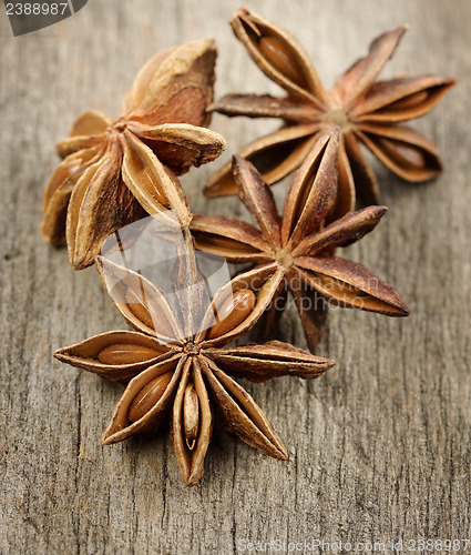 Image of Anise Stars,Close Up