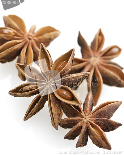 Image of Anise Stars,Close Up