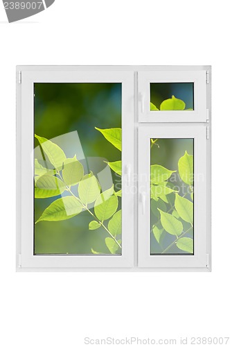 Image of Plastic window