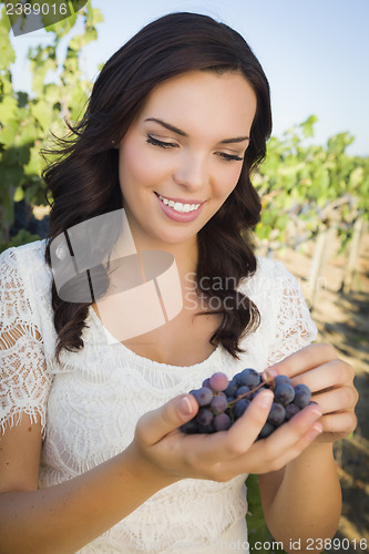 Image of Young Adult Woman Enjoying The Wine Grapes in The Vineyard