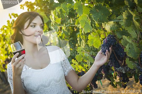 Image of Young Adult Woman Enjoying A Glass of Wine in Vineyard