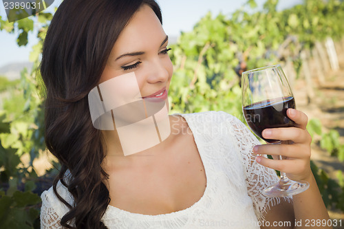 Image of Young Adult Woman Enjoying A Glass of Wine in Vineyard