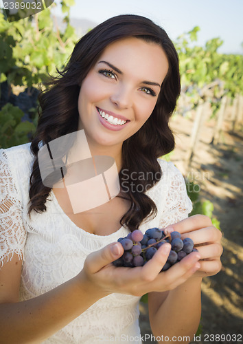 Image of Young Adult Woman Enjoying The Wine Grapes in The Vineyard