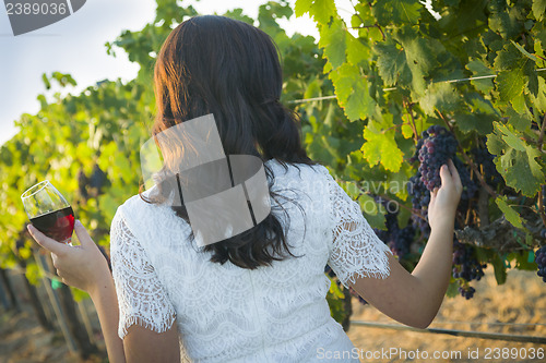 Image of Young Adult Woman Enjoying A Glass of Wine in Vineyard