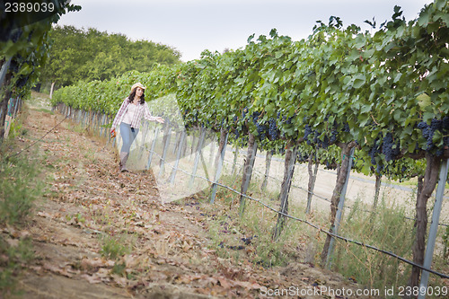 Image of Young Female Farmer Inspecting the Grapes in Vineyard