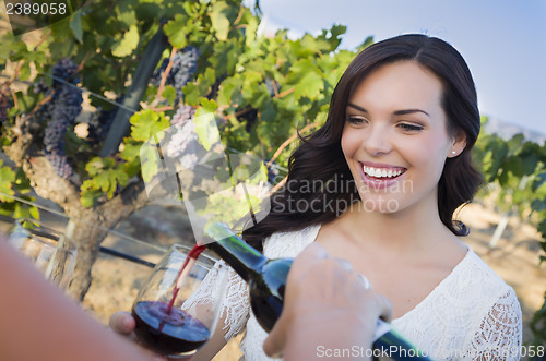 Image of Young Woman Enjoying Glass of Wine in Vineyard With Friends