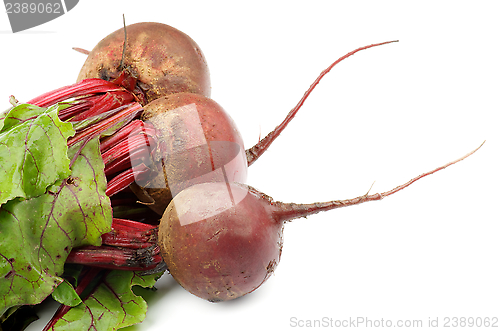 Image of Beetroot