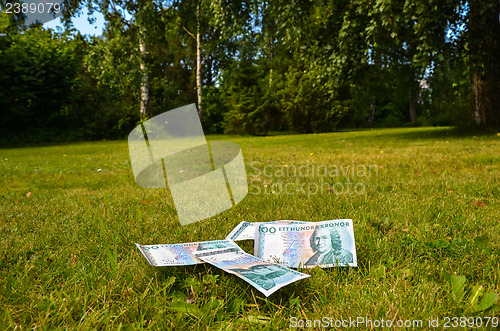 Image of Bank notes in garden