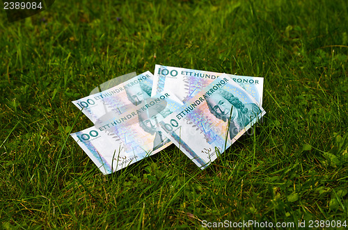 Image of Banknotes at lawn