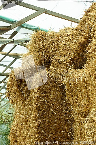 Image of Bales of straw stacked in a heap