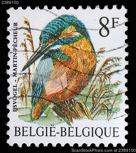 Image of Stamp printed in Belgium shows bird