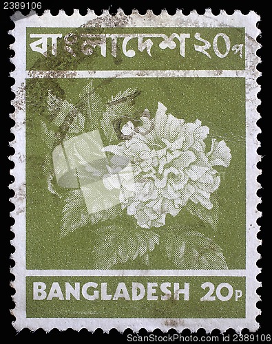 Image of Stamp printed in Bangladesh shows flower