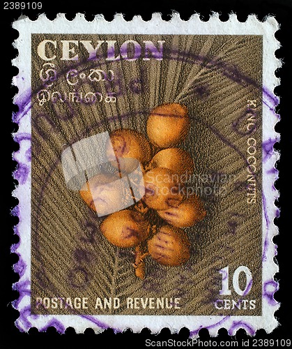 Image of Stamp printed in Ceylon (now Sri Lanka) shows image of king coconuts
