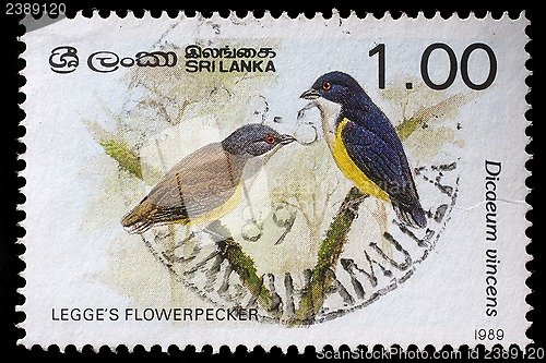 Image of Stamp printed in Sri Lanka shows Legges flowerpecker bird