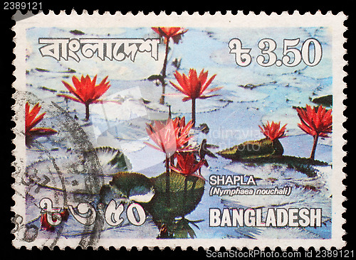 Image of Stamp printed in Bangladesh shows water lilies