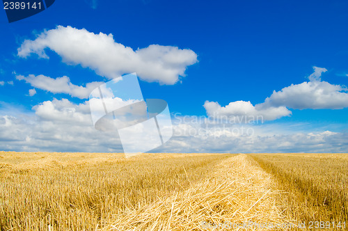 Image of sky and rural view