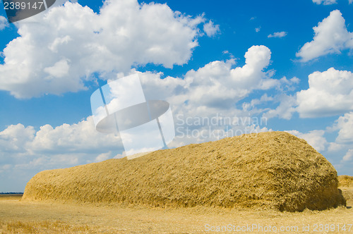 Image of large stack of straw