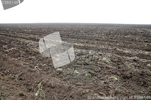 Image of field in autumn