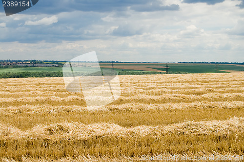 Image of view to rural scene