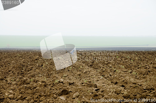 Image of the autumn field is in fog