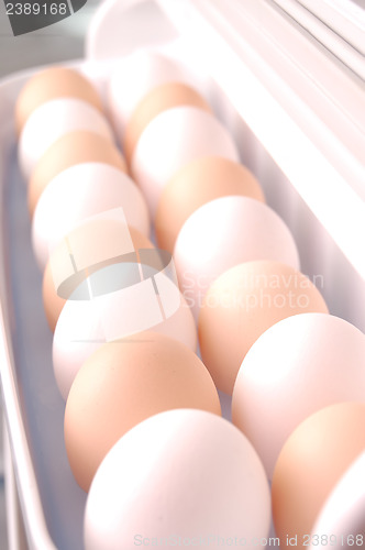 Image of two rows of eggs in refrigerator