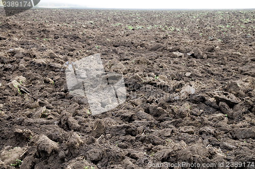 Image of plowed field