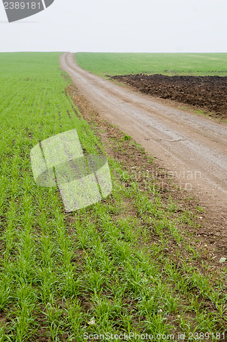 Image of dirty road along field