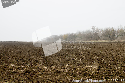 Image of field in autumn