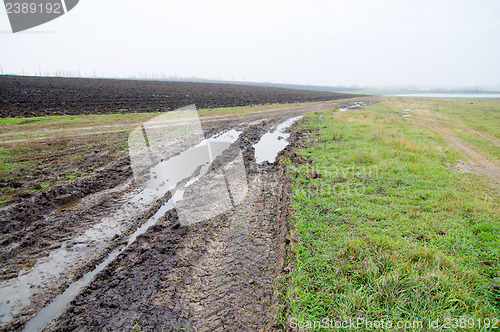 Image of after rain