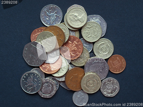 Image of Pounds