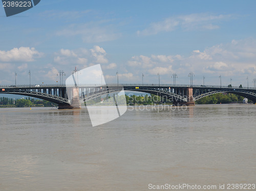 Image of Rhine river in Mainz