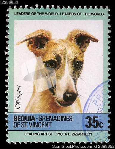 Image of Stamp printed in Grenadines of St. Vincent shows Whippet dog