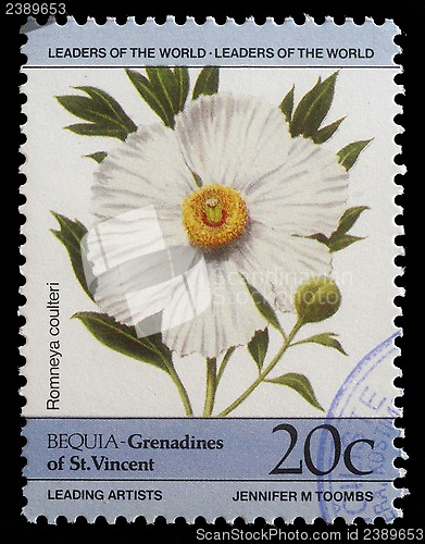 Image of Stamp printed in Grenadines of St. Vincent shows Romneya coulteri flower