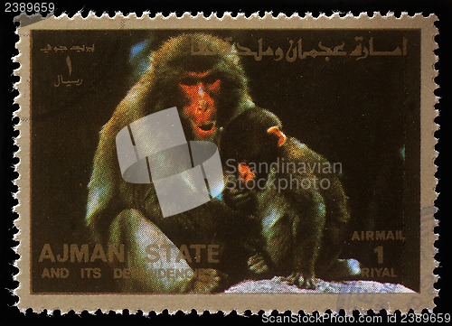 Image of Stamp printed by Ajman shows monkeys