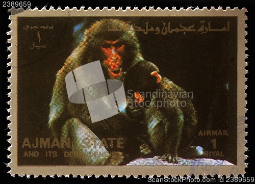 Image of Stamp printed by Ajman shows monkeys