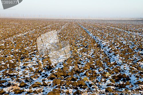Image of winter-field