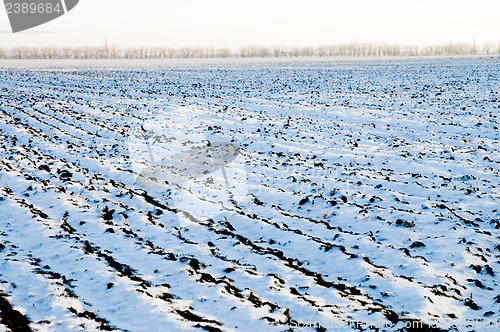 Image of snow on field