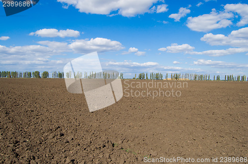 Image of autumn