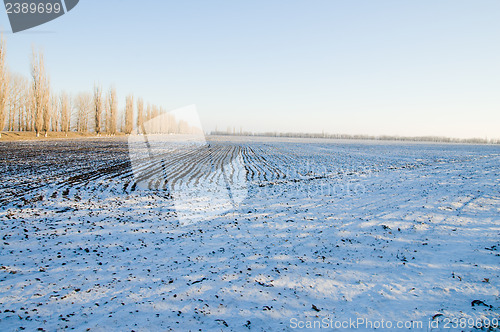 Image of under snow