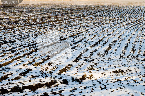 Image of field in winter