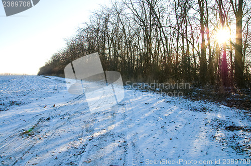 Image of winter sun
