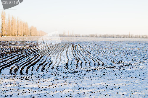 Image of under snow