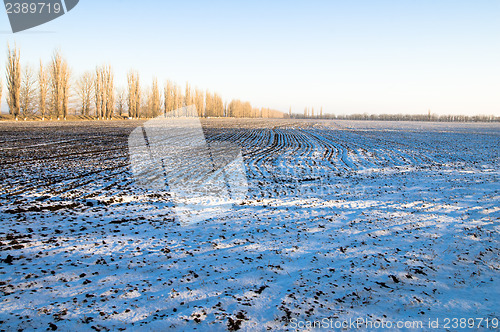 Image of winter field