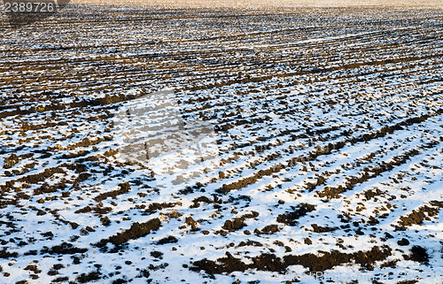 Image of field in winter
