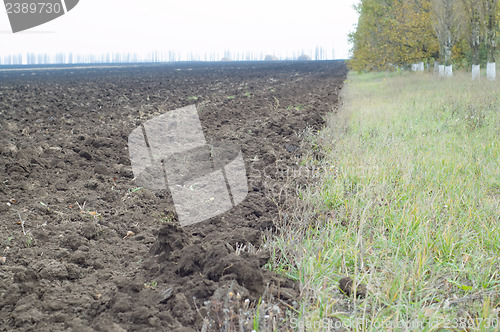 Image of border of fields