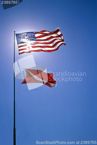 Image of Flags